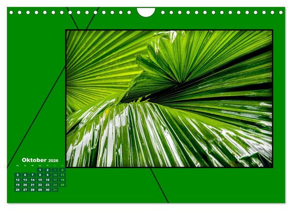 Produktbild: Heilende Farbe Gr&uuml;n (Wandkalender 2026 DIN A4 quer), CALVENDO Monatskalender