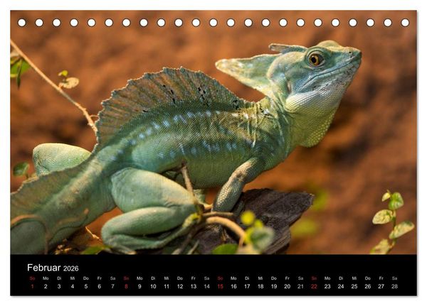 Produktbild: Reptilien & Co. (Tischkalender 2026 DIN A5 quer), CALVENDO Monatskalender
