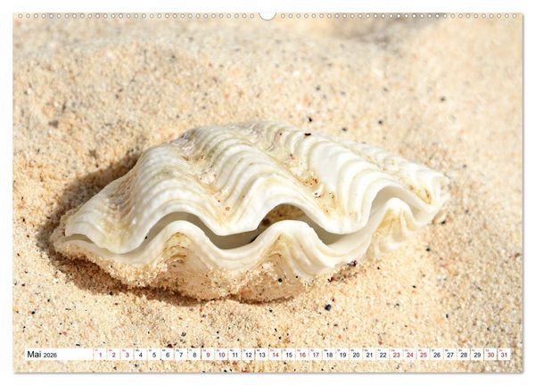 Produktbild: Rarotonga - Trauminsel im S&uuml;dpazifik. (hochwertiger Premium Wandkalender 2026 DIN A2 quer), Kunstdruck in Hochglanz