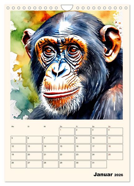 Produktbild: Schimpansen & Gorillas (Wandkalender 2026 DIN A4 hoch), CALVENDO Monatskalender