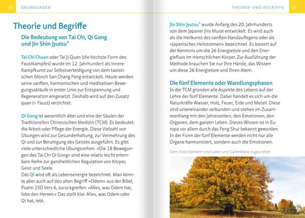Tai Chi für zwischendurch. Kompakt-Ratgeber