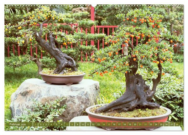 Produktbild: Gartenkunst aus Japan: Bonsai (hochwertiger Premium Wandkalender 2026 DIN A2 quer), Kunstdruck in Hochglanz