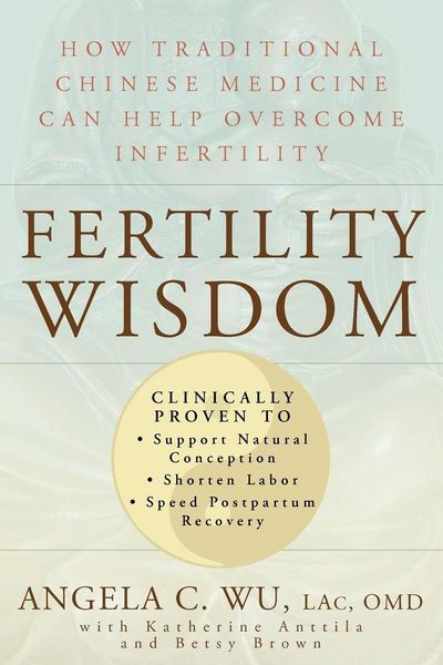 Produktbild: Fertility Wisdom