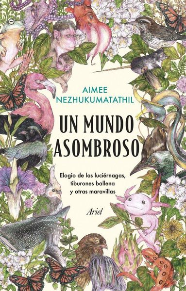 Produktbild: Un mundo asombroso