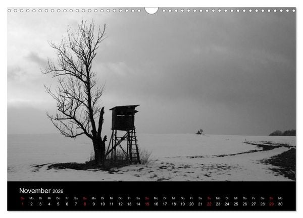 Produktbild: B&auml;ume trees 2026 (Wandkalender 2026 DIN A3 quer), CALVENDO Monatskalender