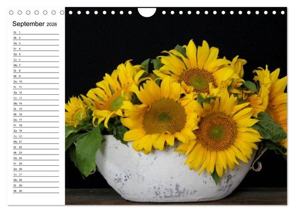 Produktbild: Sonnenblumen Impressionen (Wandkalender 2026 DIN A4 quer), CALVENDO Monatskalender