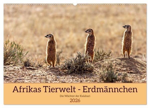Afrikas Tierwelt - Erdmännchen (Wandkalender 2026 DIN A2 quer), CALVENDO Monatskalender