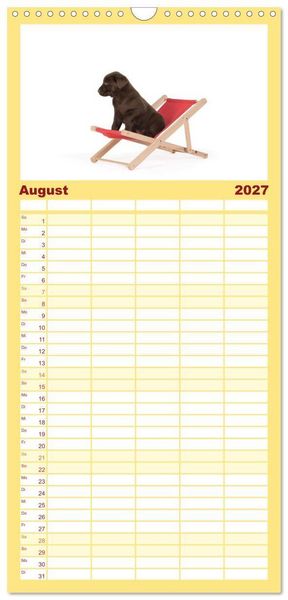 Produktbild: Familienplaner 2027 - Labrador - Welpen mit 5 Spalten (Wandkalender, 21 x 45 cm) CALVENDO