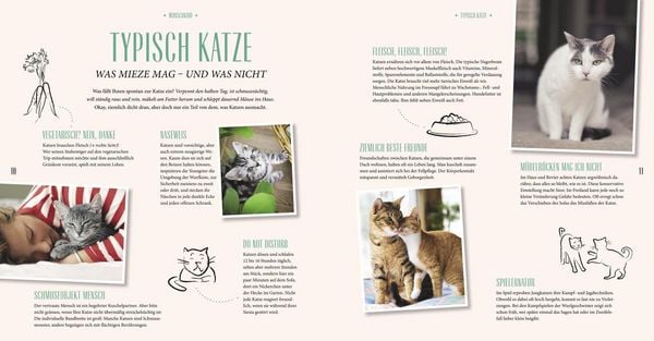 Produktbild: Katzen-Basics