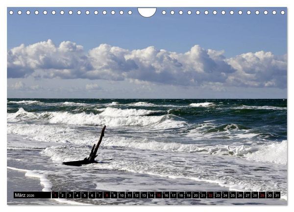 Produktbild: Die Ostsee (Wandkalender 2026 DIN A4 quer), CALVENDO Monatskalender