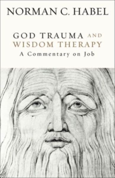 Produktbild: God Trauma and Wisdom Therapy
