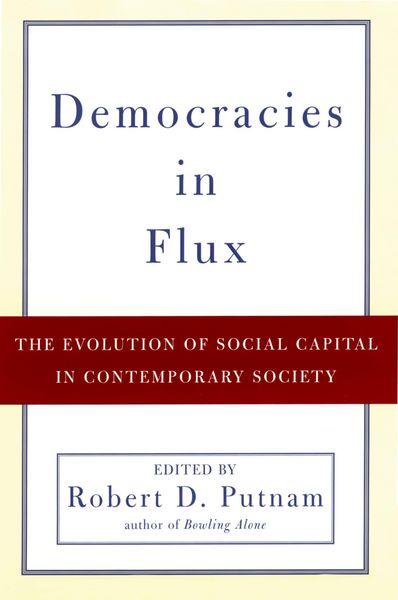Produktbild: Democracies in Flux