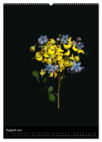 Produktbild: Blumen bei Nacht (hochwertiger Premium Wandkalender 2026 DIN A2 hoch), Kunstdruck in Hochglanz