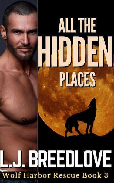Produktbild: All the Hidden Places