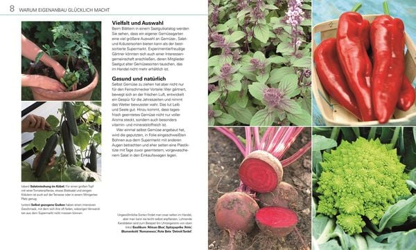 Produktbild: Gem&uuml;se f&uuml;r jeden Garten