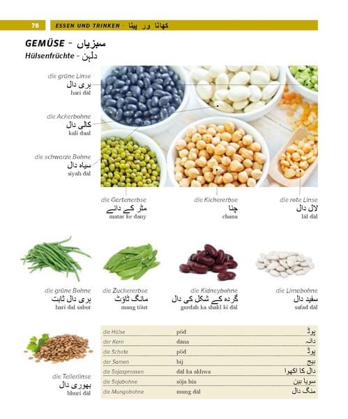 Produktbild: PONS Bildw&ouml;rterbuch Urdu