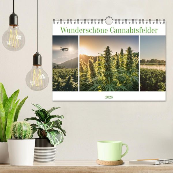 Produktbild: Wundersch&ouml;ne Cannabisfelder (Wandkalender 2026 DIN A4 quer), CALVENDO Monatskalender