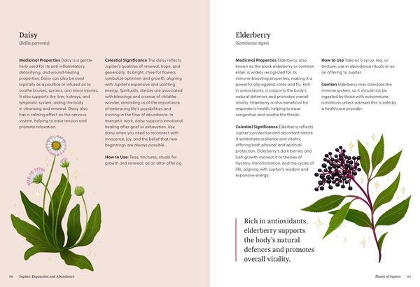 Produktbild: Astro Herbalism