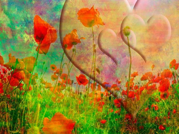 Produktbild: CALVENDO Puzzle FANTASIEWELT Mohnblumenwiese mit Herzen II | 1000 Teile Lege-Gr&ouml;&szlig;e 64x48cm Foto-Puzzle f&uuml;r gl&uuml;ckliche Stunden