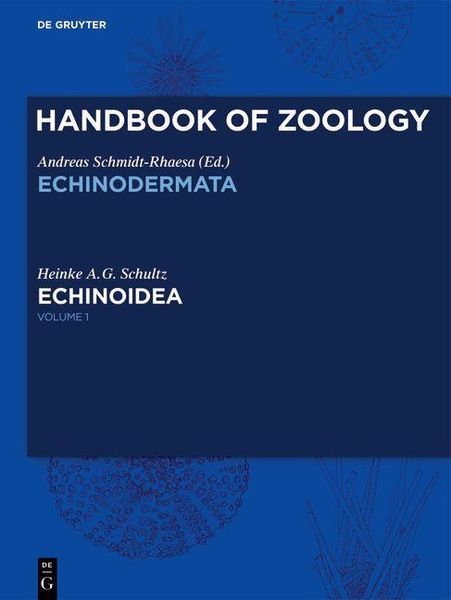 Produktbild: Echinoidea