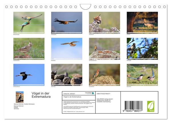 Produktbild: V&ouml;gel in der Extremadura (Wandkalender 2026 DIN A4 quer), CALVENDO Monatskalender