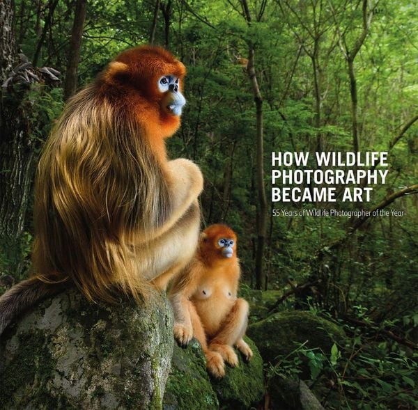 Produktbild: How Wildlife Photography Became Art
