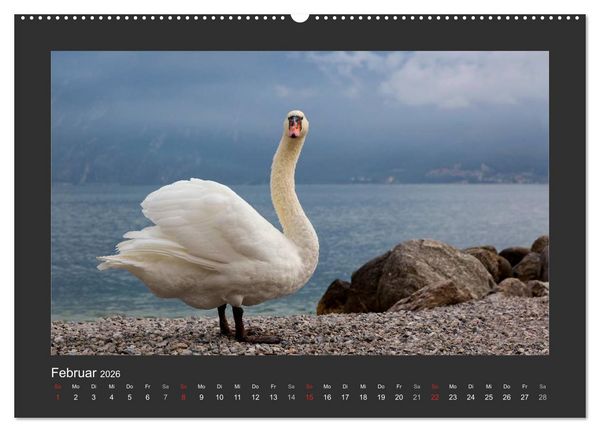 Produktbild: Limone sul Garda - Bella Italia (Wandkalender 2026 DIN A2 quer), CALVENDO Monatskalender