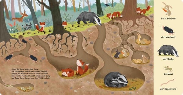 Produktbild: Tiere im Wald