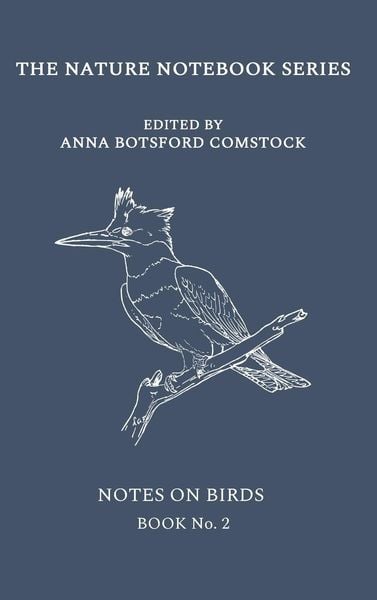 Produktbild: Notes on Birds 2
