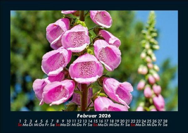 Produktbild: Blumenkalender 2026 Fotokalender DIN A5