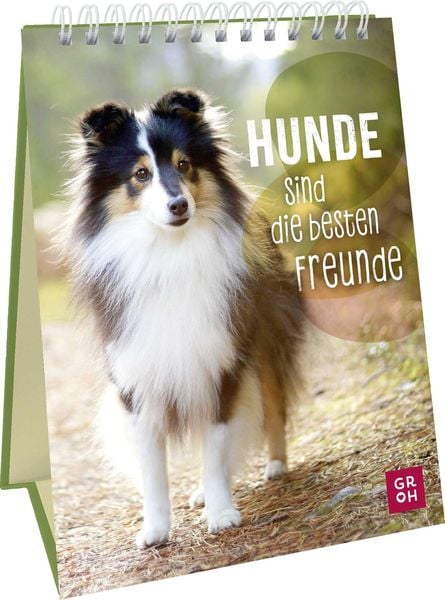 Hunde sind die besten Freunde, Gebundene Ausgabe von Groh Verlag, Groh, 978-3-8485-0234-9