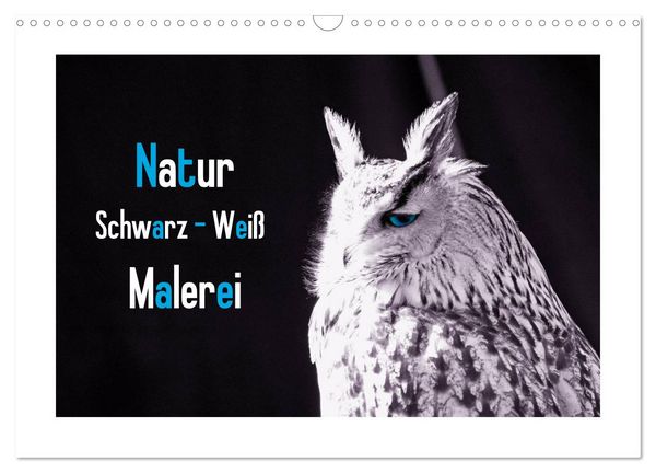 Produktbild: Natur schwarz - wei&szlig; Malerei (Wandkalender 2026 DIN A3 quer), CALVENDO Monatskalender