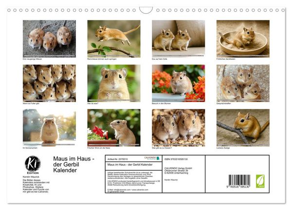 Produktbild: Maus im Haus - der Gerbil Kalender (Wandkalender 2026 DIN A3 quer), CALVENDO Monatskalender