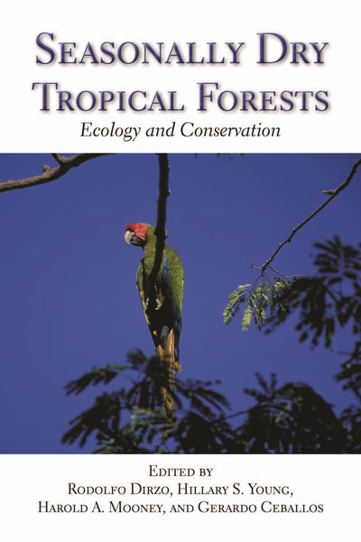 Produktbild: Seasonally Dry Tropical Forests