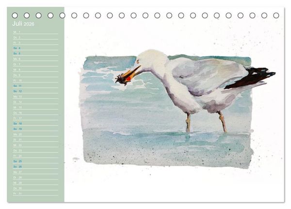 Produktbild: M&ouml;wen - Aquarelle von Julia Pasinski (Tischkalender 2026 DIN A5 quer), CALVENDO Monatskalender