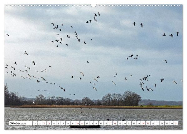 Produktbild: Angeln - Landschaft zwischen Schlei und Flensburger F&ouml;rde (hochwertiger Premium Wandkalender 2026 DIN A2 quer), Kunstdruck in Hochglanz