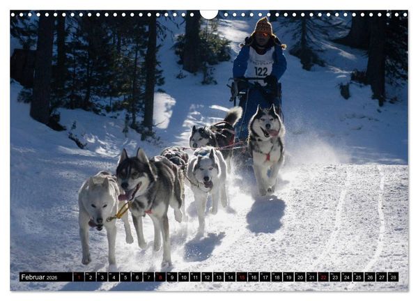 Produktbild: Aktiv rund um die Welt (Wandkalender 2026 DIN A3 quer), CALVENDO Monatskalender