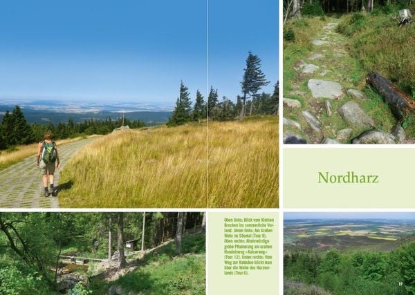 Produktbild: Vergessene Pfade Harz