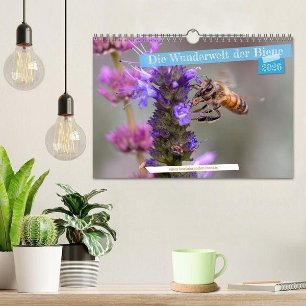 Produktbild: Die Wunderwelt der Biene (Wandkalender 2026 DIN A4 quer), CALVENDO Monatskalender