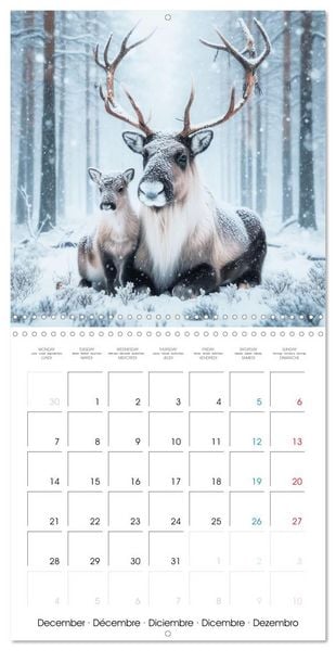 Produktbild: Animals of Arctic (Wall Calendar 2026 12 &times; 12 Inch) CALVENDO 12 Month Wall Calendar