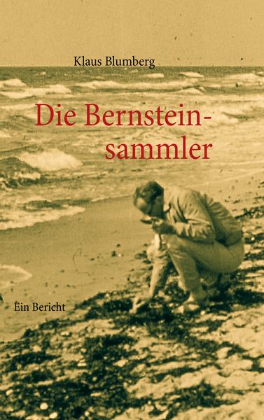 Produktbild: Die Bernsteinsammler