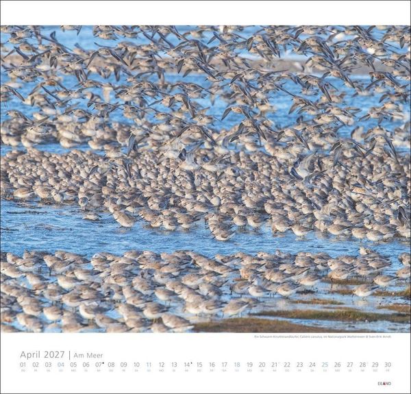 Produktbild: Am Meer Edition Kalender 2027 - Sand, Wind und Wellen