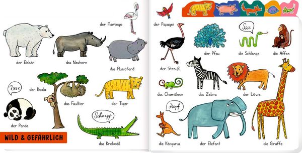 Produktbild: Mein liebstes W&ouml;rterbuch: Tiere