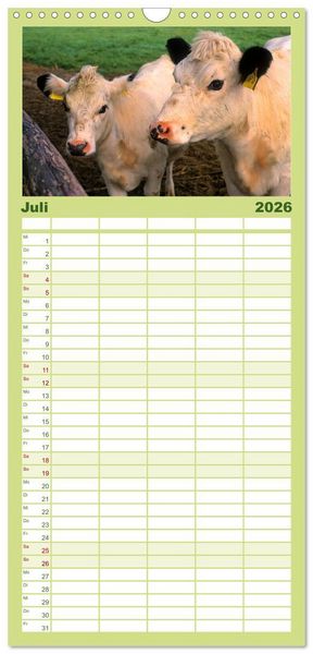 Produktbild: Familienplaner 2026 - Rinder auf dem Lande mit 5 Spalten (Wandkalender, 21 x 45 cm) CALVENDO