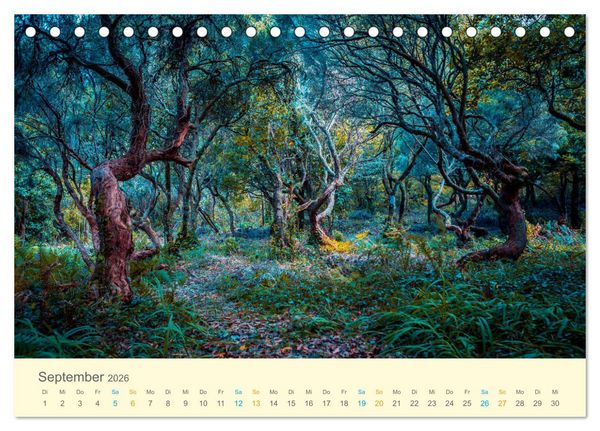 Produktbild: Wanderwege - zu Fu&szlig; in Europa (Tischkalender 2026 DIN A5 quer), CALVENDO Monatskalender