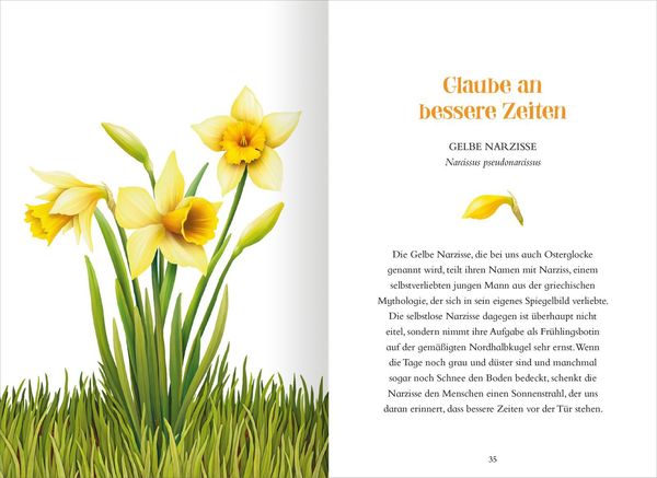 Produktbild: Das Geheimnis der Blumen