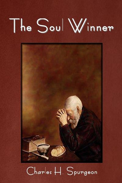 Produktbild: The Soul Winner