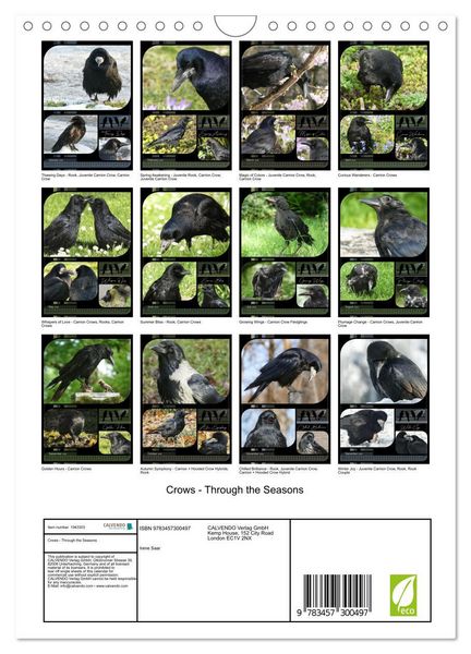 Produktbild: Crows - Through the Seasons (Wall Calendar 2026 DIN A4 portrait), CALVENDO 12 Month Wall Calendar