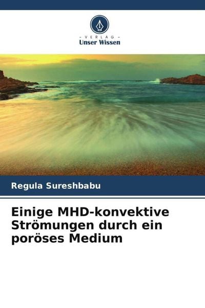 Produktbild: Einige MHD-konvektive Str&ouml;mungen durch ein por&ouml;ses Medium