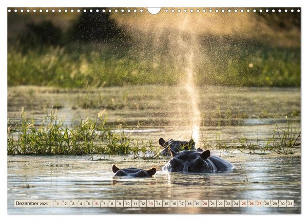 Produktbild: Wildes Okavangodelta (Wandkalender 2026 DIN A3 quer), CALVENDO Monatskalender